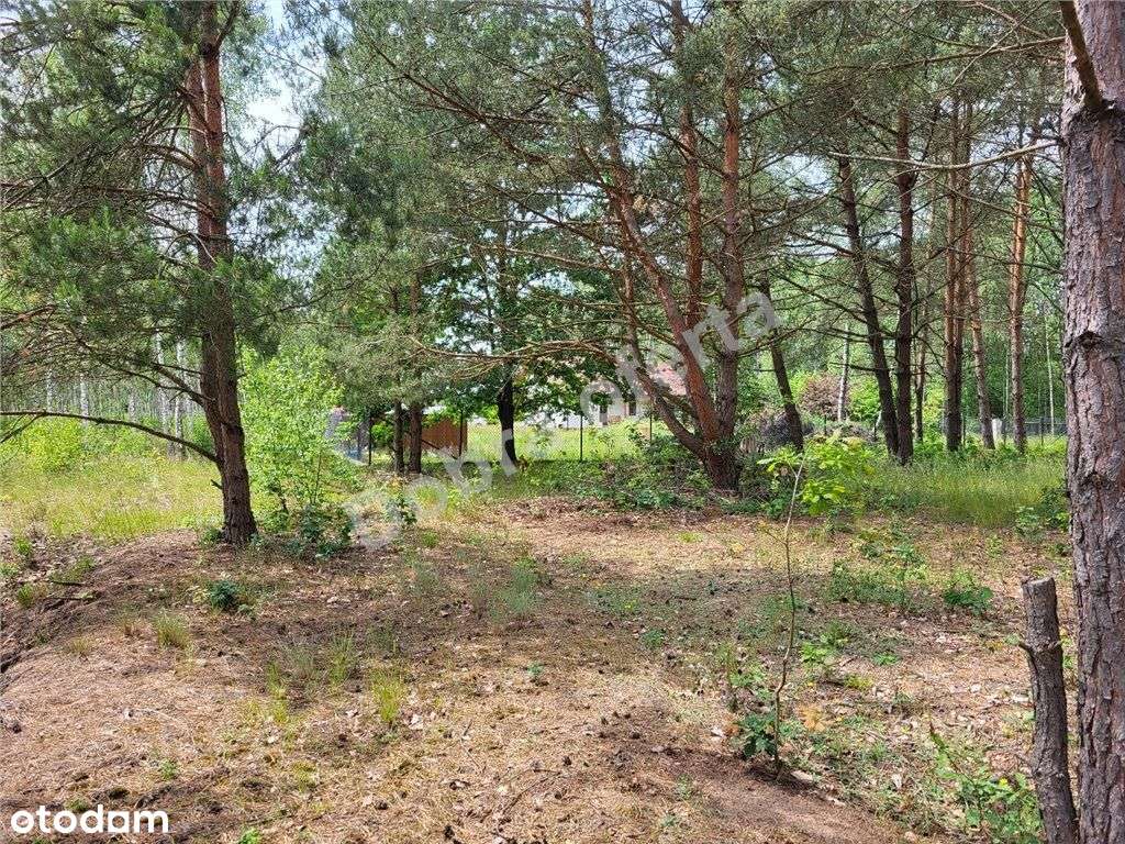 Szukasz ciszy, lubisz przyrodę... - Pełny obrazek: 5/12