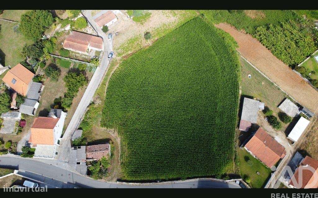 Terreno para construção em Antas de 4675,00 m2 - Grande imagem: 5/15