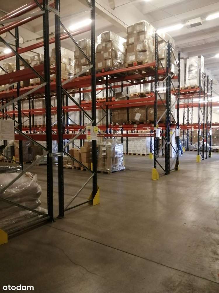 Magazyn o pow. 2360m2 - Pełny obrazek: 4/10