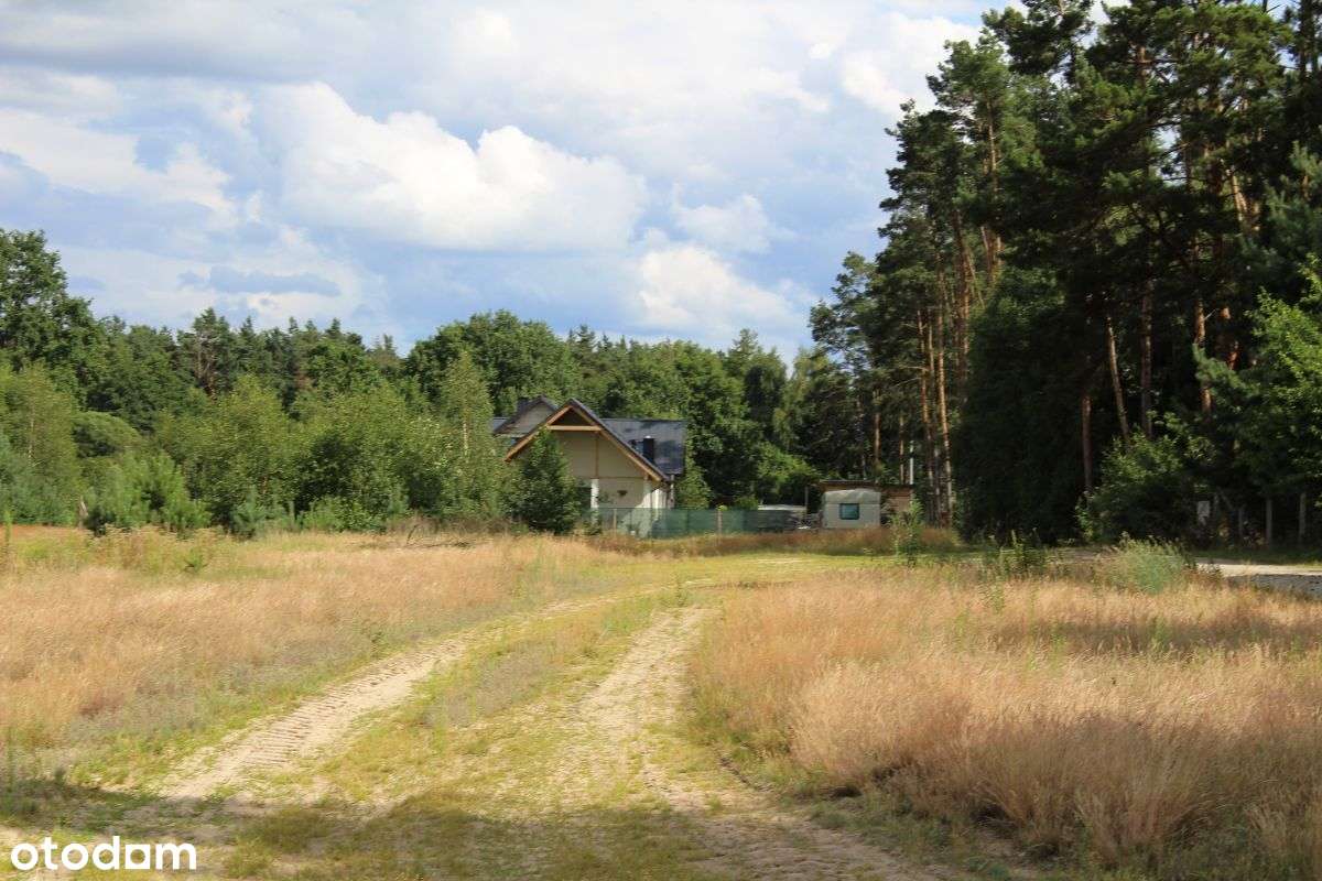 Ziemia orna z potencjałem-8