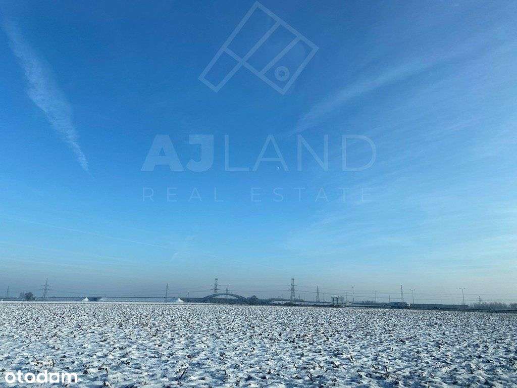 Grunt inwestycyjny w Gołuskach - Pełny obrazek: 5/5