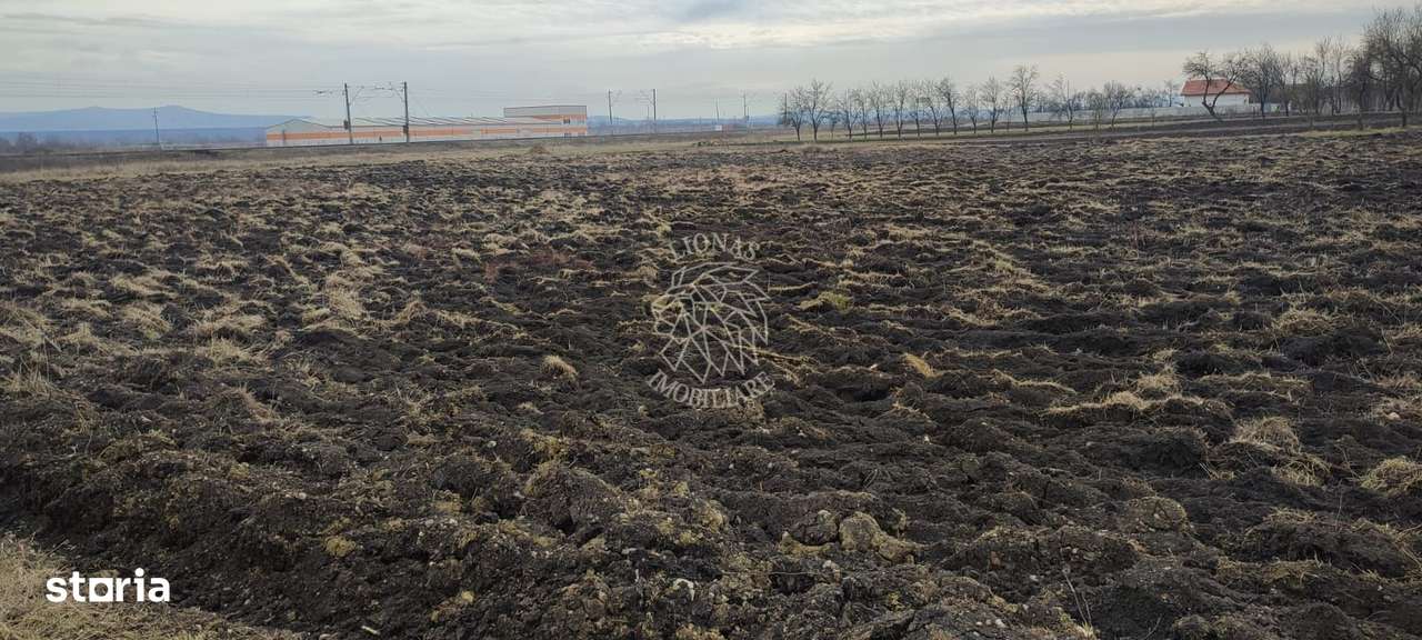 Oportunitate investitie 5 parcele teren intravilan ideal case/servicii - Imagine principală: 4/4