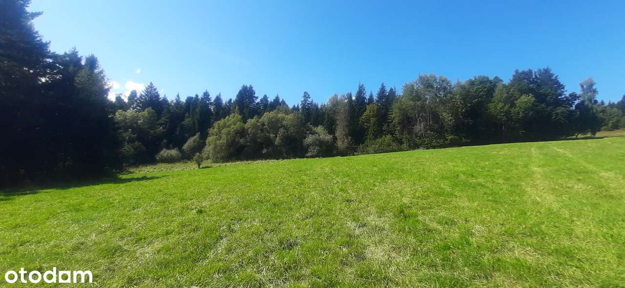 Budowlana działka w Rabce Zdroju - Pełny obrazek: 5/5