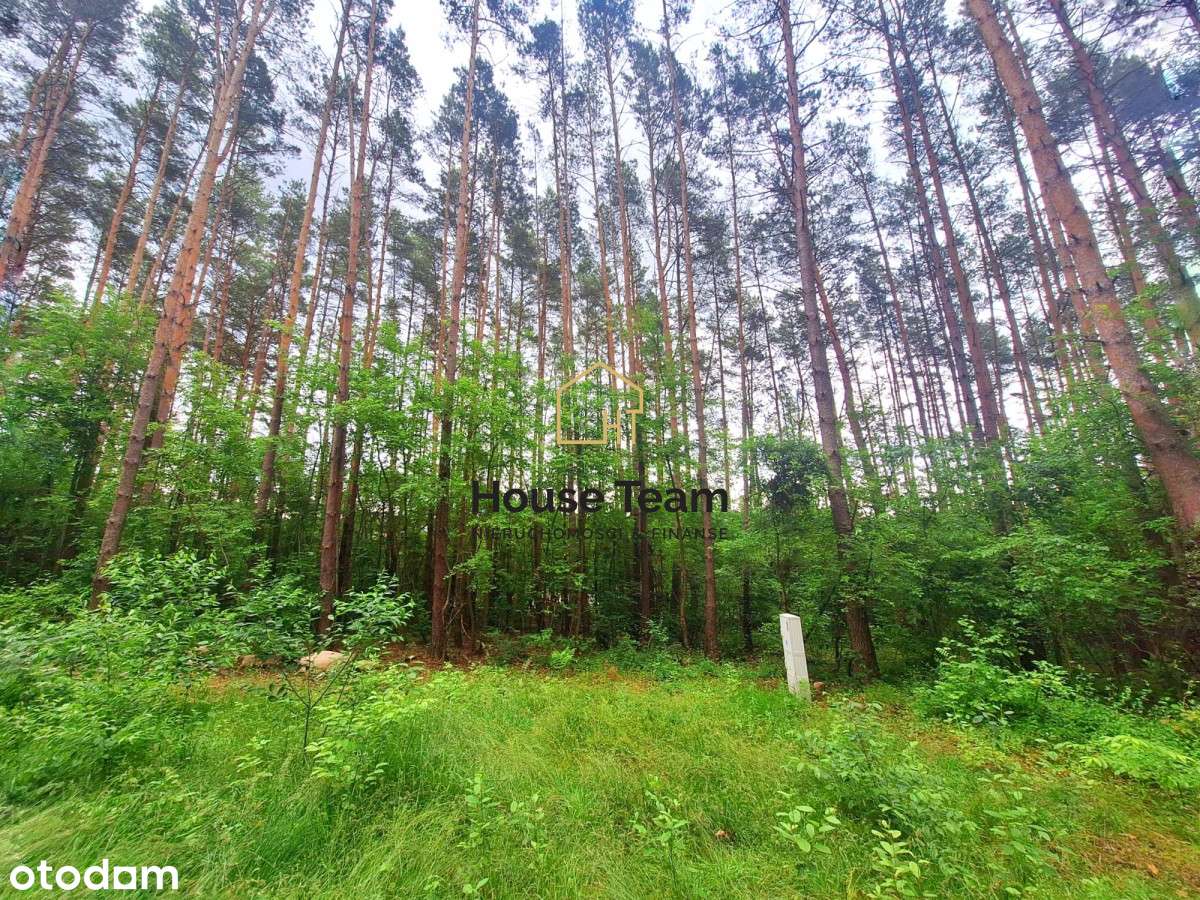 Działka z Mpzp - 1721 m2 - Smukała - Pełny obrazek: 3/14