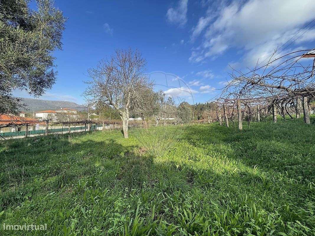 Terreno  para venda - Grande imagem: 5/7