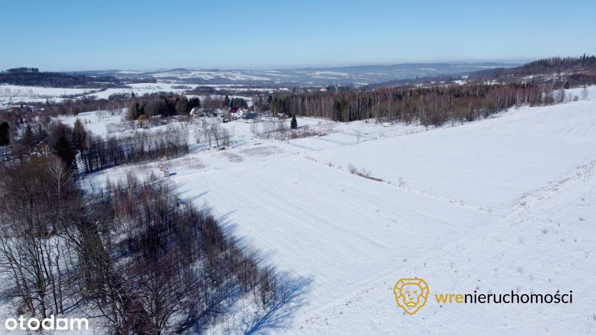 Klimatyczna działka budowlana+Usługi - Pełny obrazek: 4/12