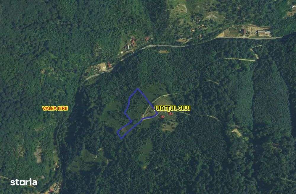 Teren 5ha in Muntii Apuseni, 2 Cabane, 3 parcele, padure, munte, in Va - Imagine principală: 3/9