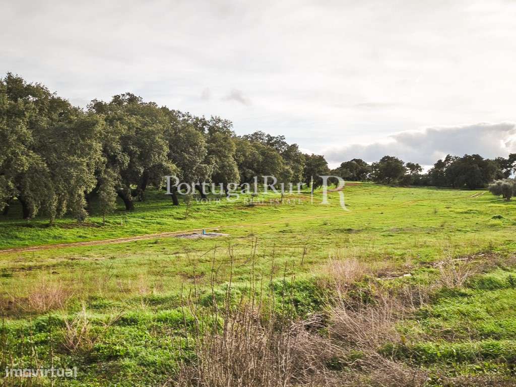 Terreno com 4,5 Ha em Elvas - Grande imagem: 4/18