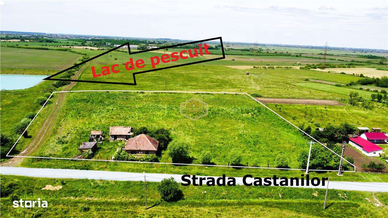 Teren generos, versatil - 10.850 mp | Balta Blonda | Diverse proiecte - Imagine principală: 3/9