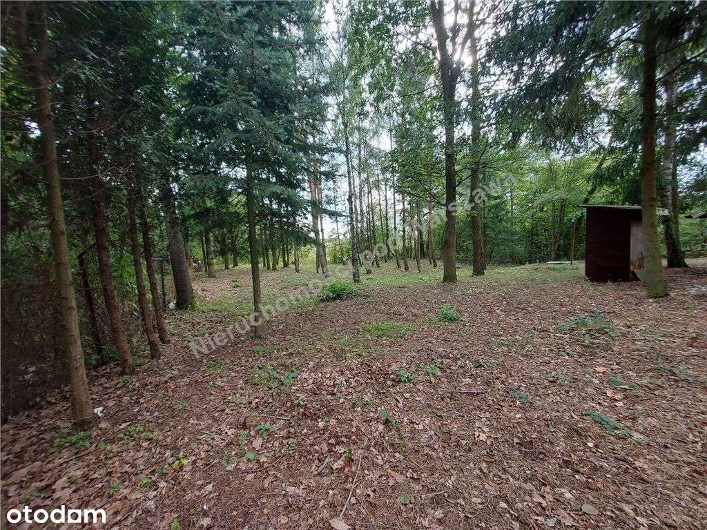 Cisza, Zieleń, Rzeka I Ona - Działka W Łosiu.-11