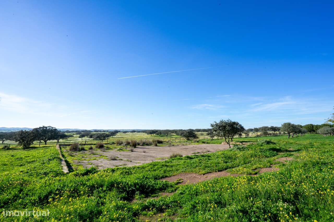 MONTE ALENTEJANO NO ALANDROAL, ÉVORA-44