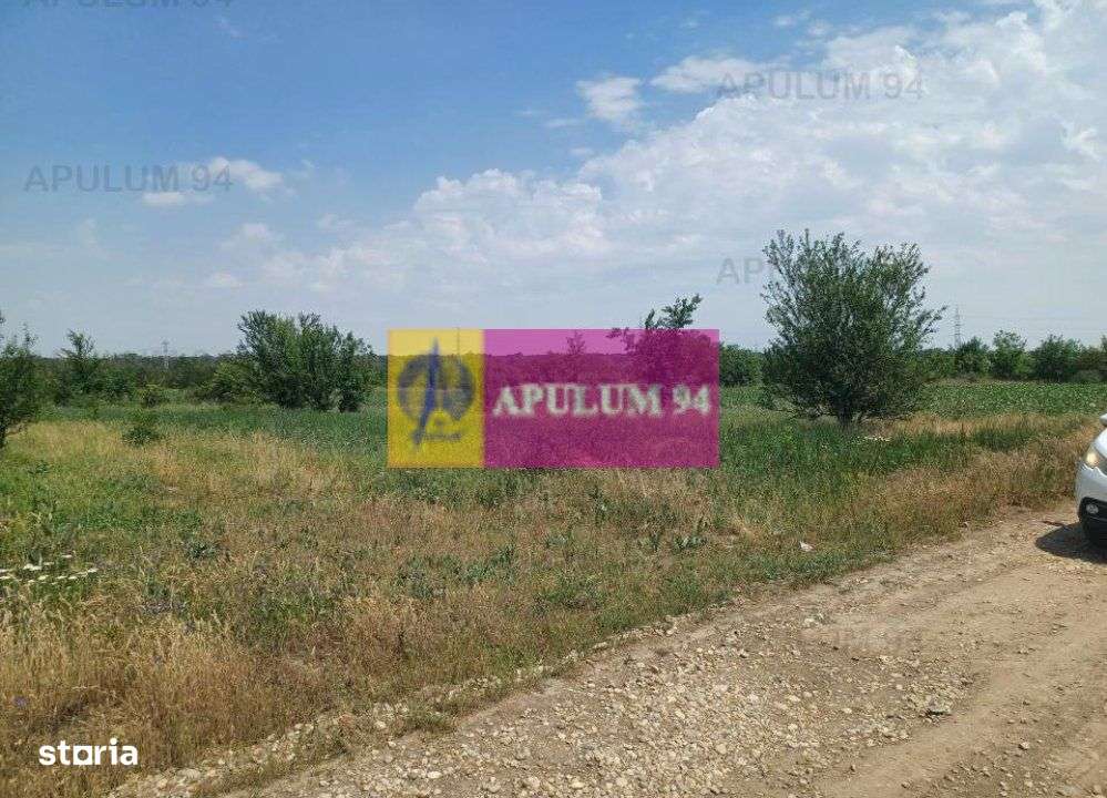 Săbăreni, teren 12620 mp pentru case, lângă pădure - Imagine principală: 5/5