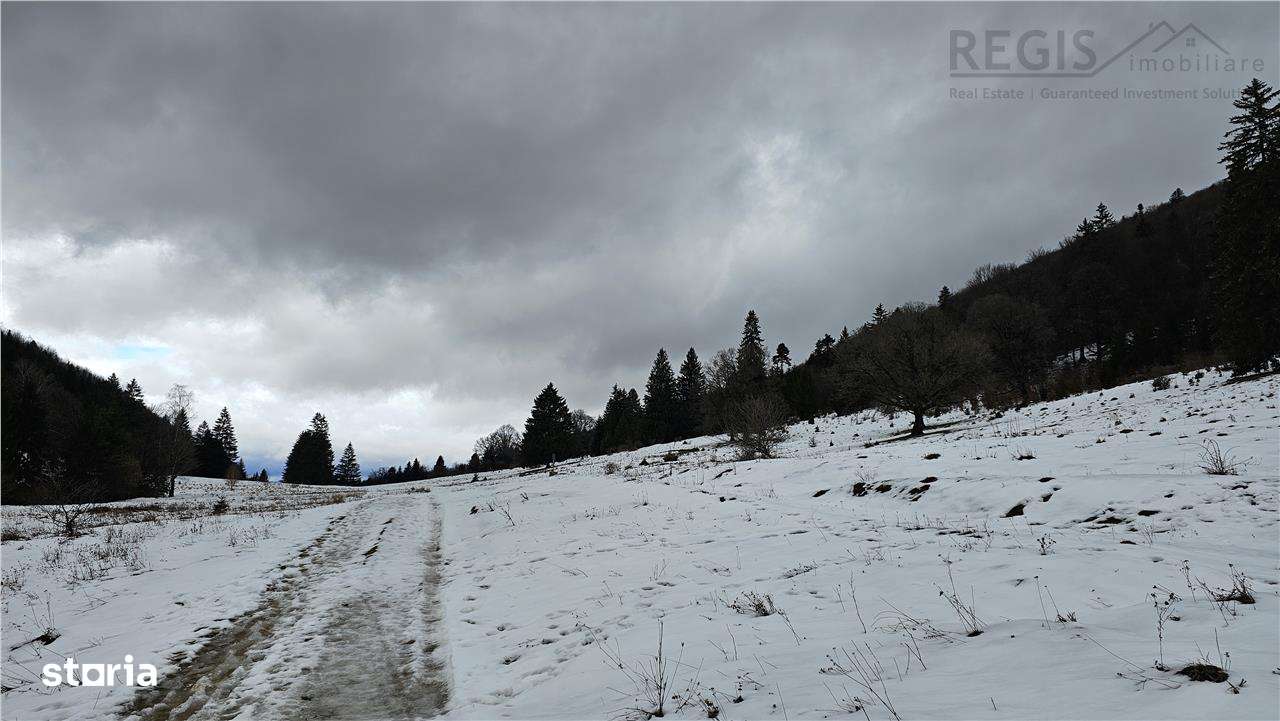 Teren superb extravilan in apropiere de Poiana Brasov-5