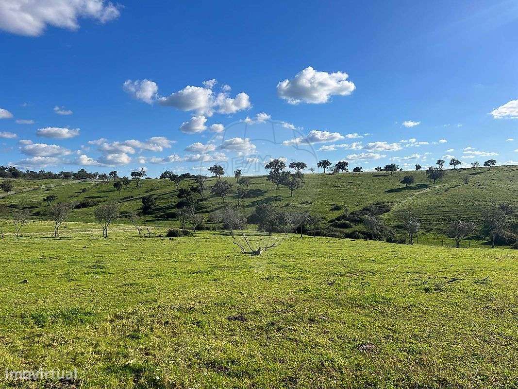 Terreno  para venda - Grande imagem: 5/7