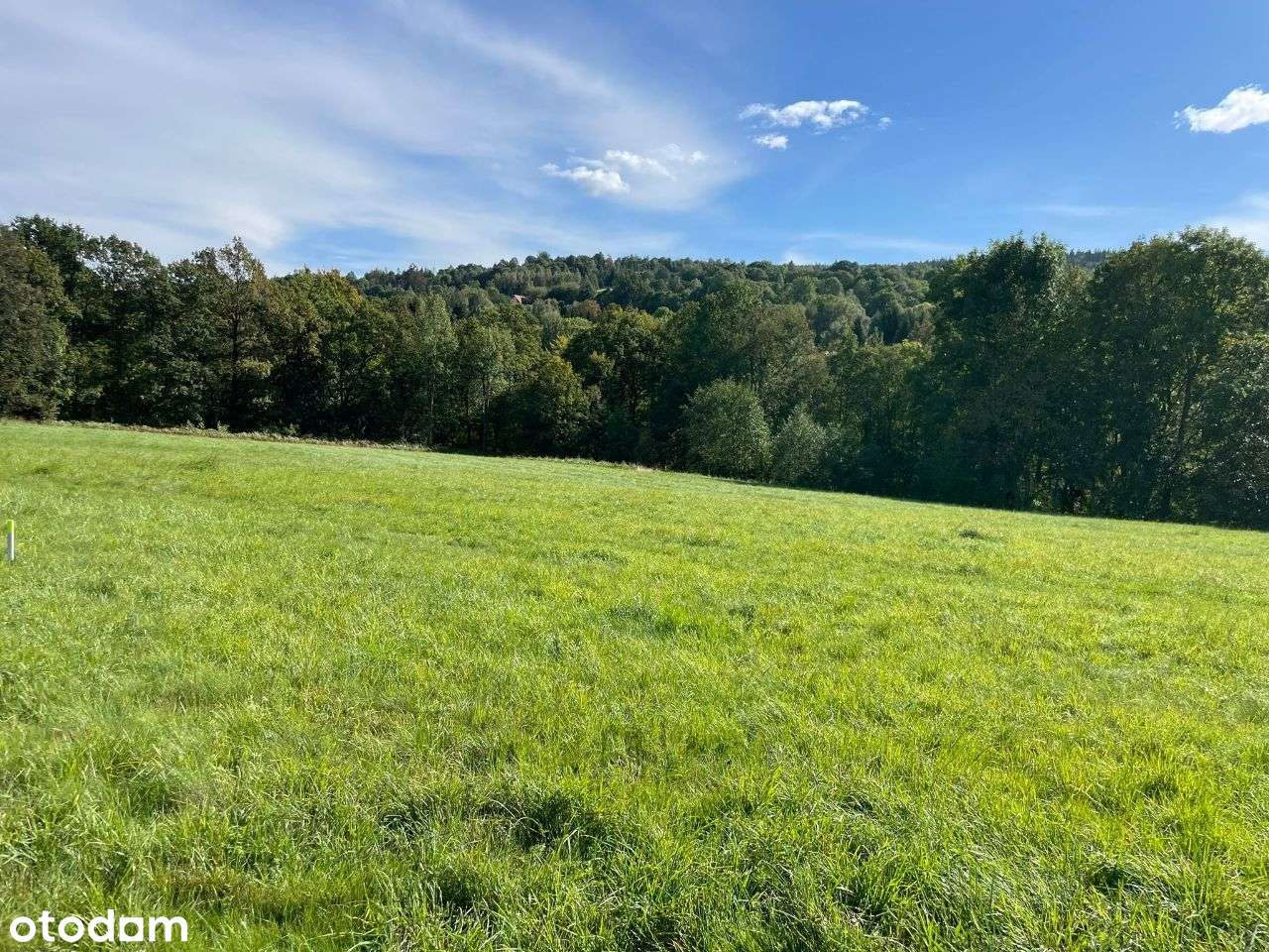 Raj dla miłośników natury i spokoju! Chromiec - Pełny obrazek: 2/3