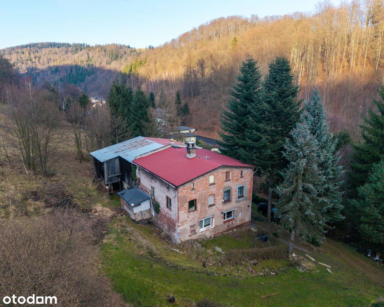 Wyjątkowa posiadłość w Górach Sowich - Pełny obrazek: 5/9