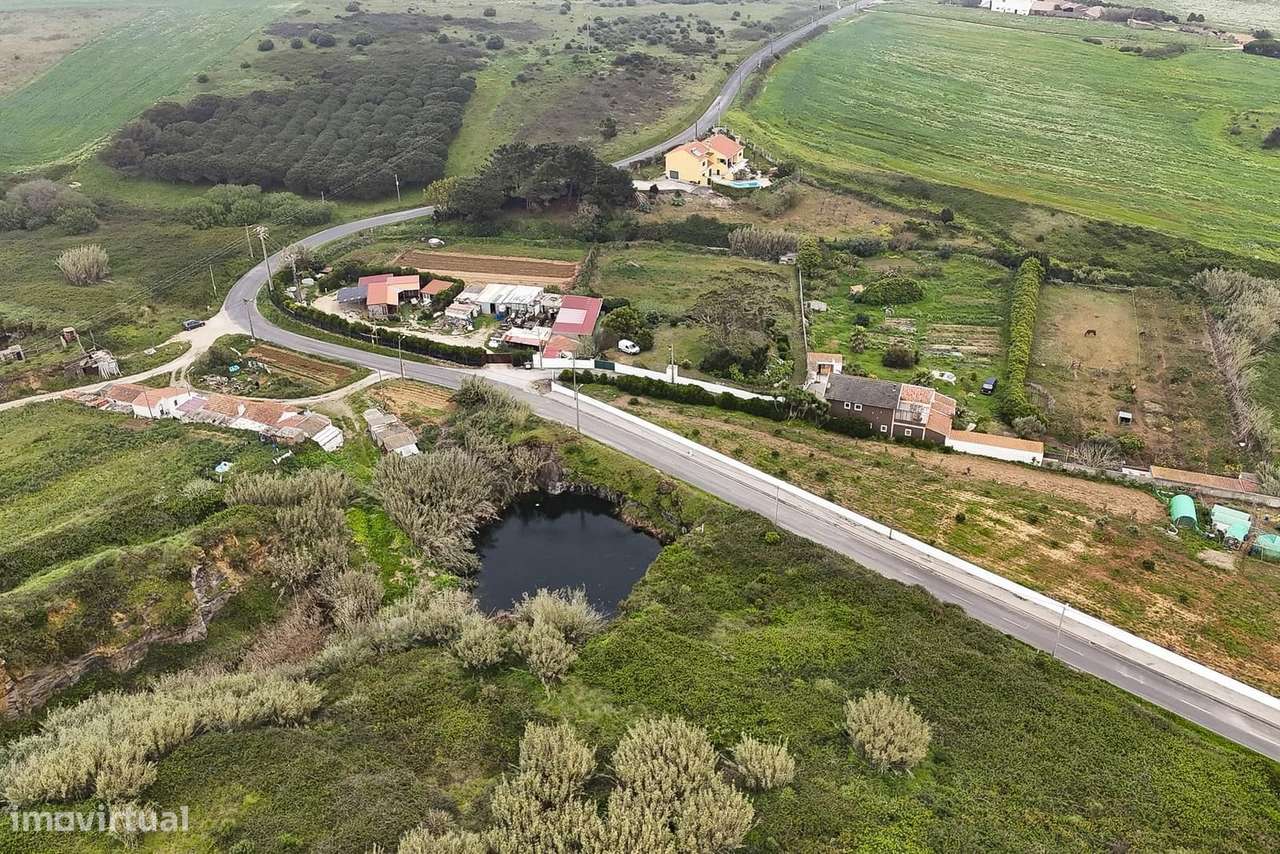 Terreno Rústico 2.7 ha, Santo Isidoro, Mafra - Grande imagem: 3/10