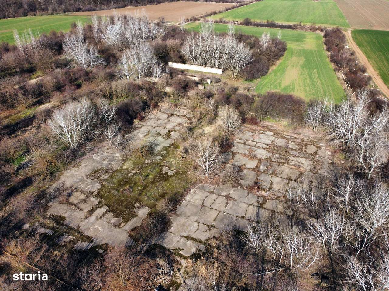 Ferma si livada de meri in judetul Ilfov-2