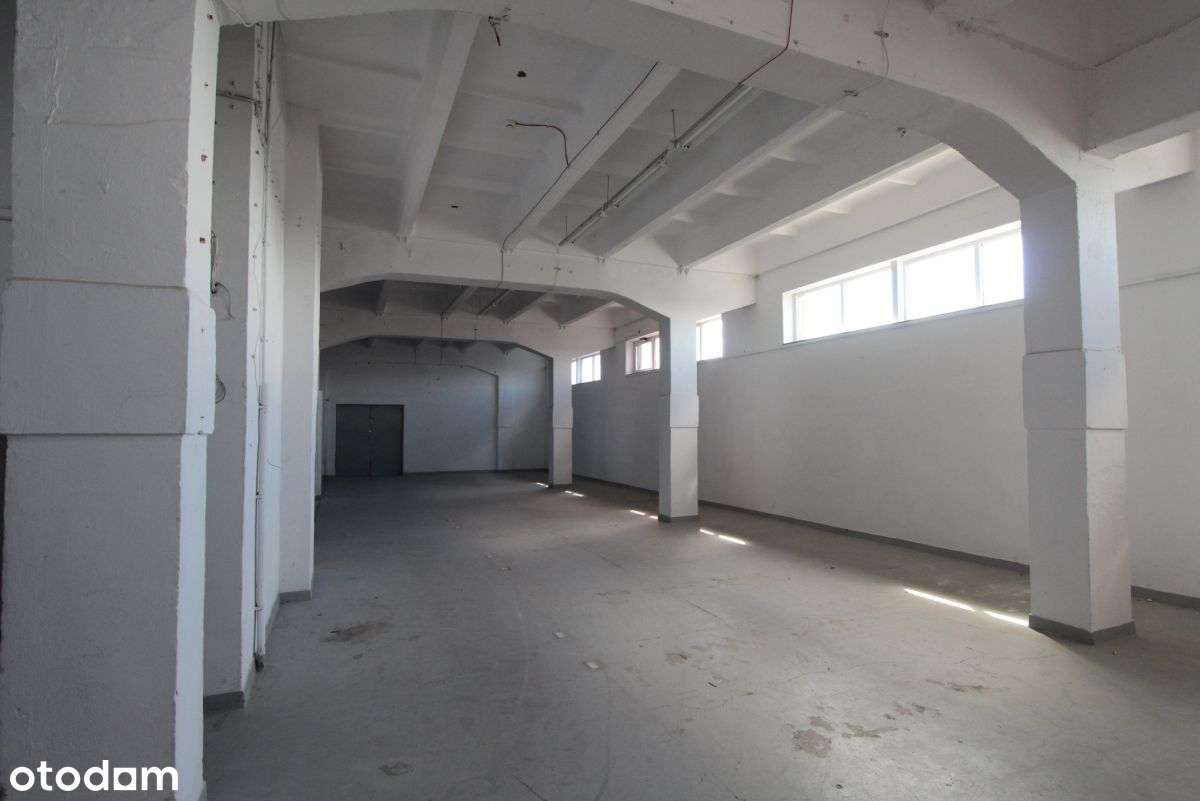 Do wynajęcia Magazyn - Podgórze - Rybitwy - Pełny obrazek: 5/13