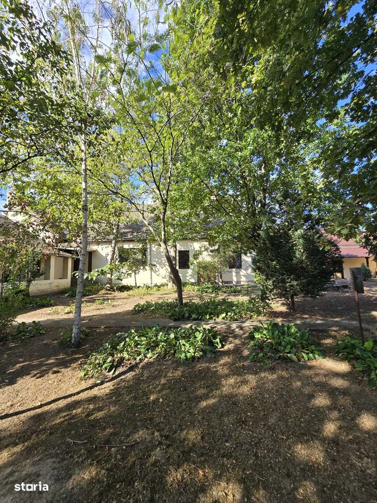 Cenad-Casa/Spatii Birouri- 150mp-teren 1065mp-11