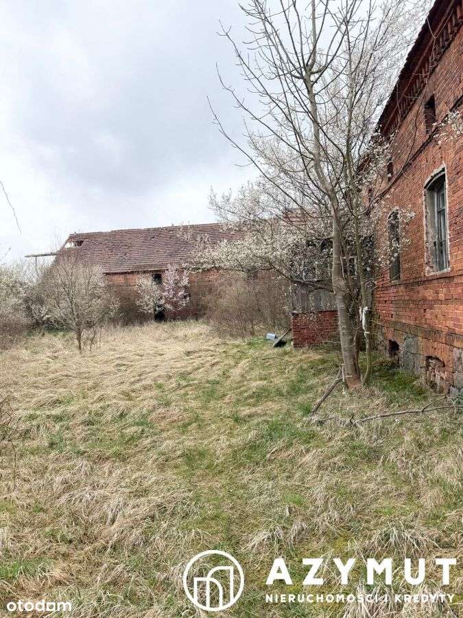 Działka z zabudową w Buszkowicach - Pełny obrazek: 2/11