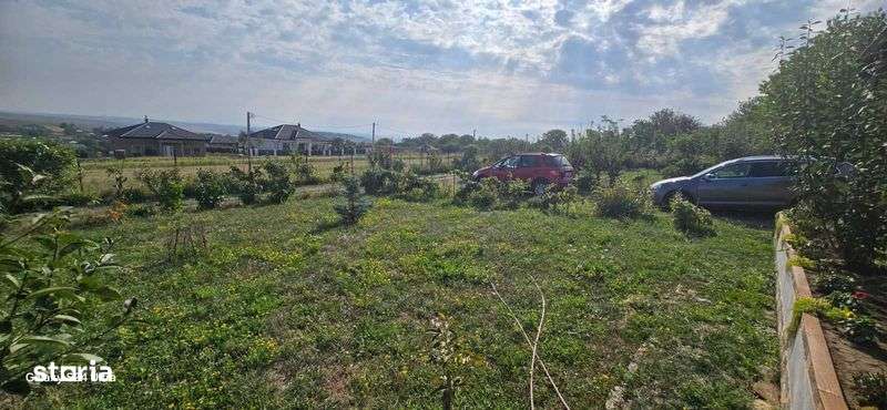 Vand teren Zaicesti (Botosani) cu cabanuta de lemn - Imagine principală: 5/7