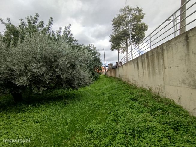 Lote de Terreno Rústico em malha urbana, Loulé, Algarve - Grande imagem: 4/8