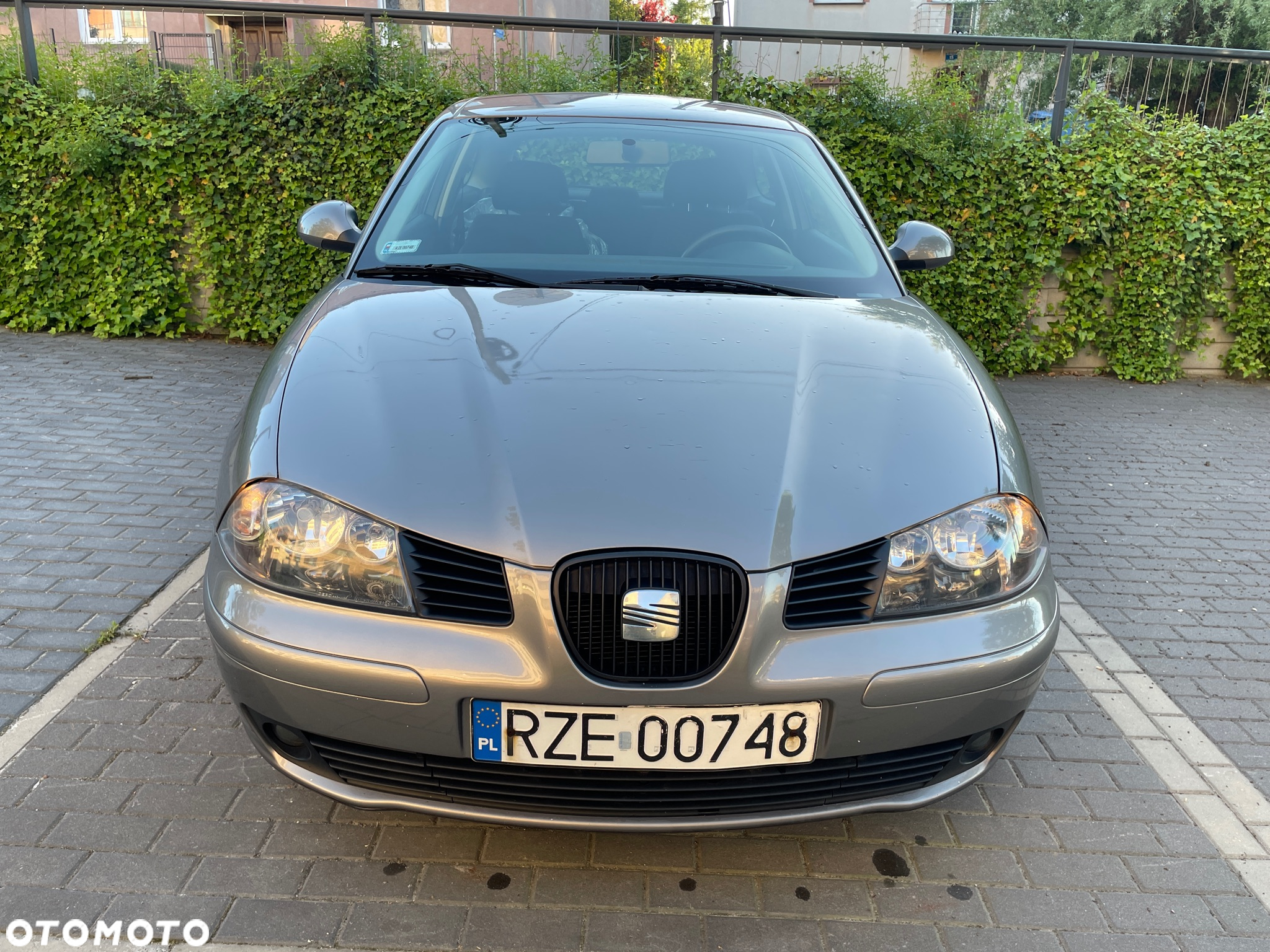 Seat Ibiza - 10