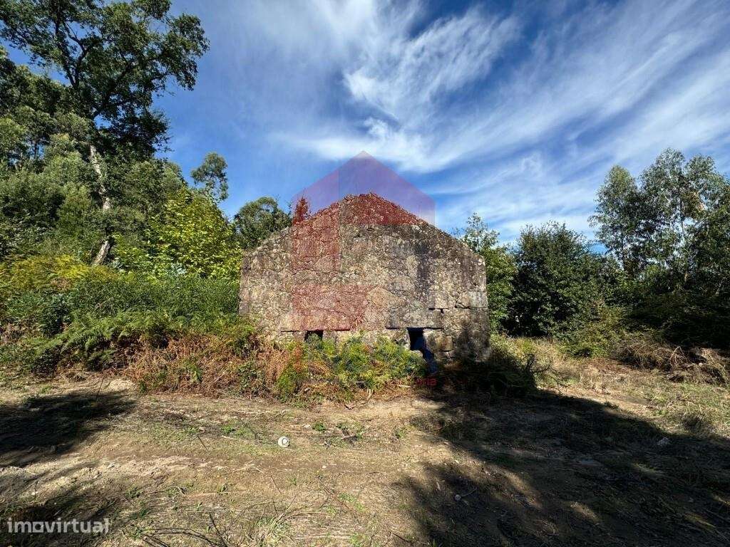 Quinta, Mós - Grande imagem: 4/27