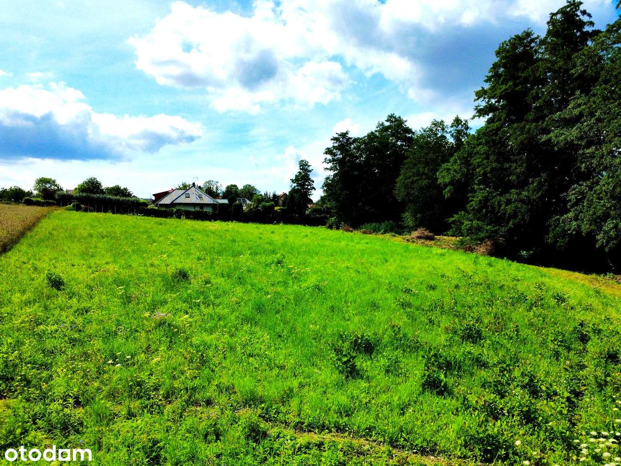 Wyjątkowa działka 81 ar | Przybysławice | staw, zieleń, media, MPZP-16