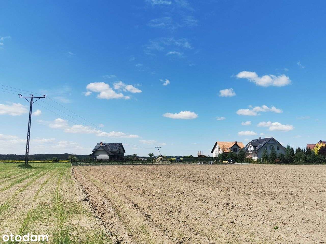 Działka budowlana | 12a | Piotrkowiczki | - Pełny obrazek: 4/6