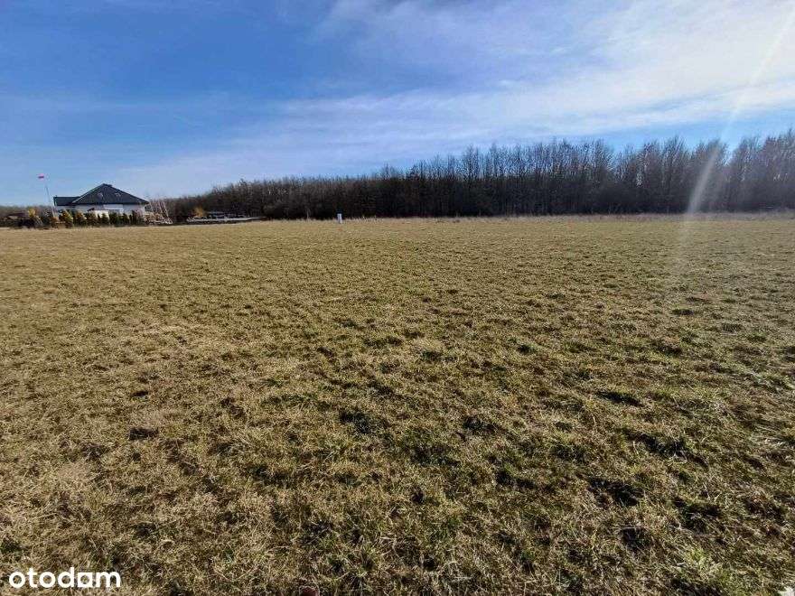 Sprzedam atrakcyjną działkę w Chludowie-7