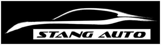 Stang Auto logo