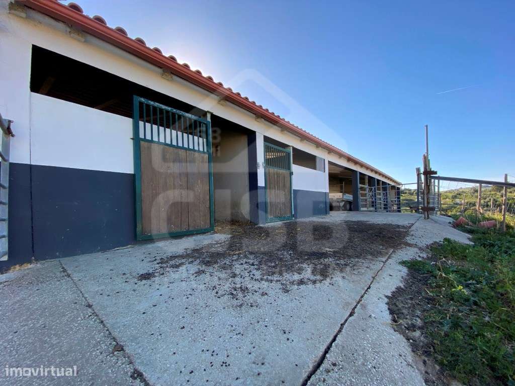 Excelente Quinta na Subserra, Alhandra - Vista Magnifica-52