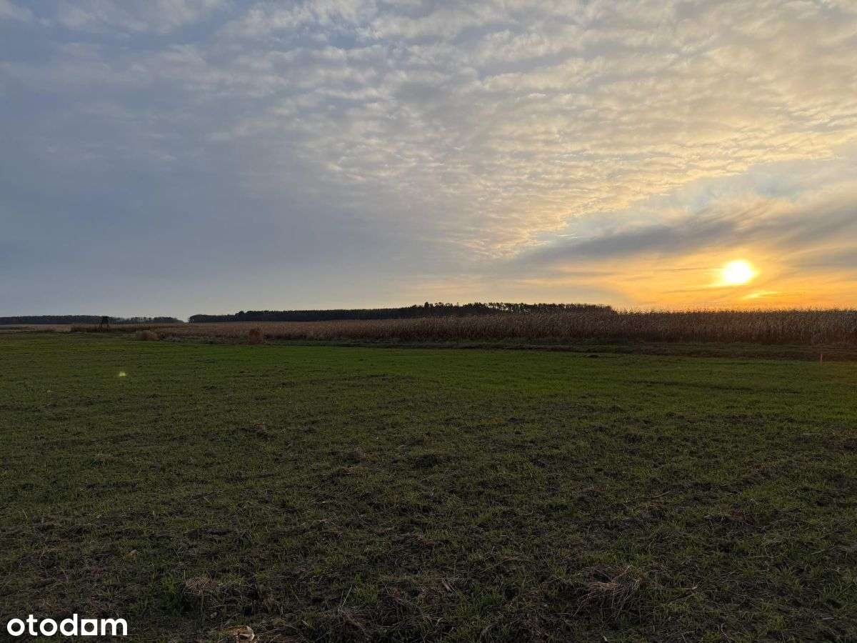 Działki rolne na sprzedaż | bliskość rzeki-5