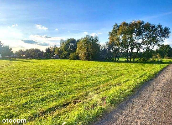 Kompleks działek budowlanych 1,24 ha*35 km od W-wy - Pełny obrazek: 4/6