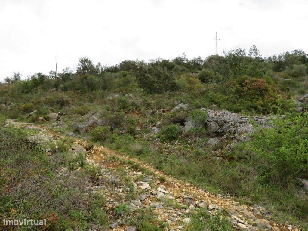 Terreno para construção de moradia - Grande imagem: 5/5