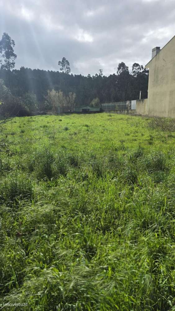 Lote de Terreno para Construção em Murta – Oliveira do Bairro - Grande imagem: 4/9