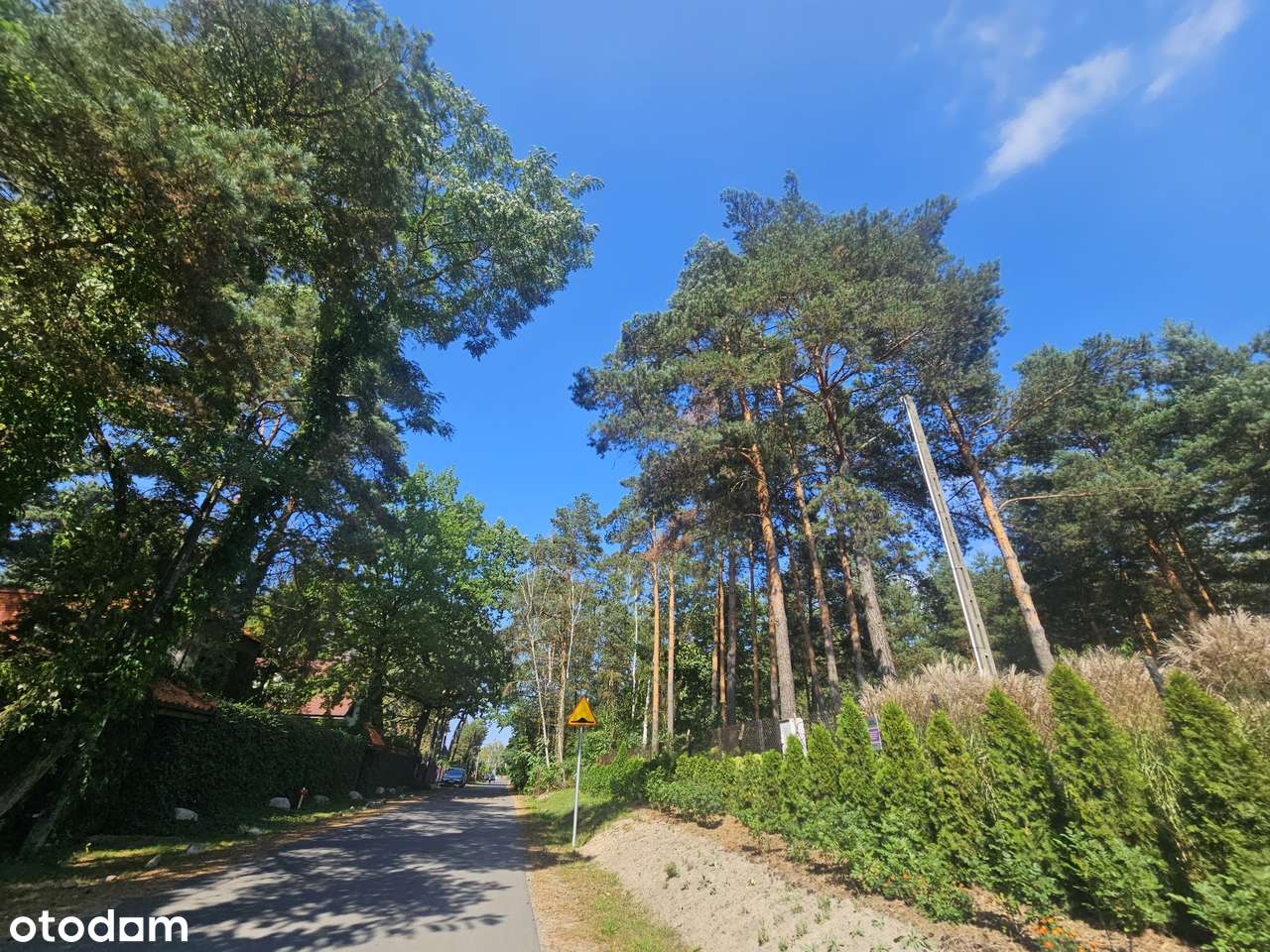 2 ładne działki w WIĄZOWNIE. Warunki zabudowy i MPZP. Media. OKAZJA-9