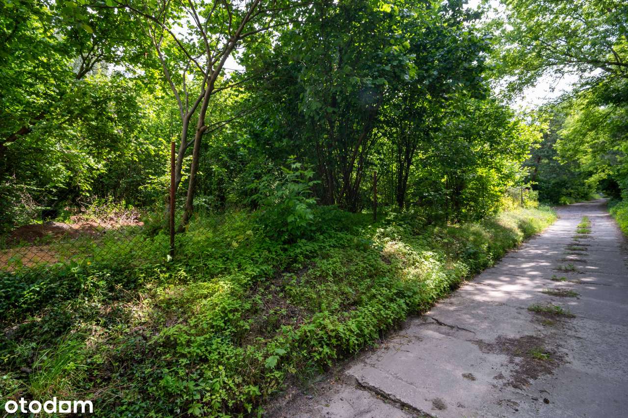 Działka budowlana w okolicy lasu-6