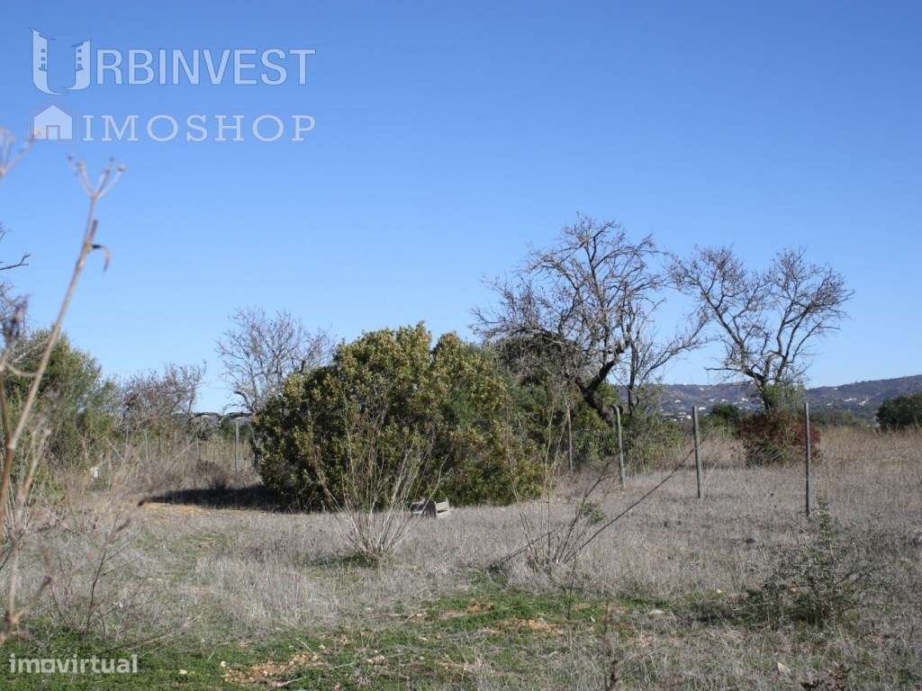 Terreno com ruína para reconstruir em Conceição-Faro, Algarve - Grande imagem: 4/7