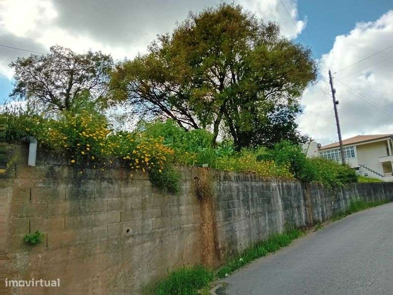 Terreno com vista panorâmica - Grande imagem: 5/11