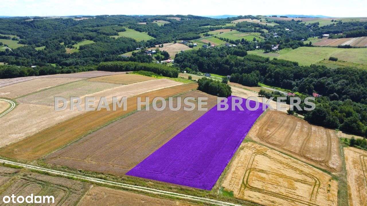 Działka rolna na sprzedaż Brzeziny gm.W Skrzyńskie - Pełny obrazek: 5/10