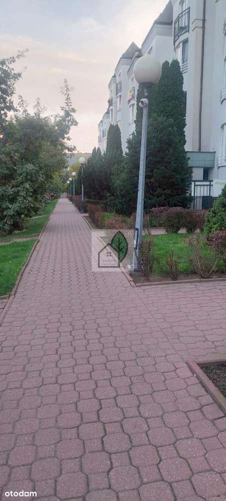 2 pokojowe wysoki parter z piwnicą parking przy ul-9