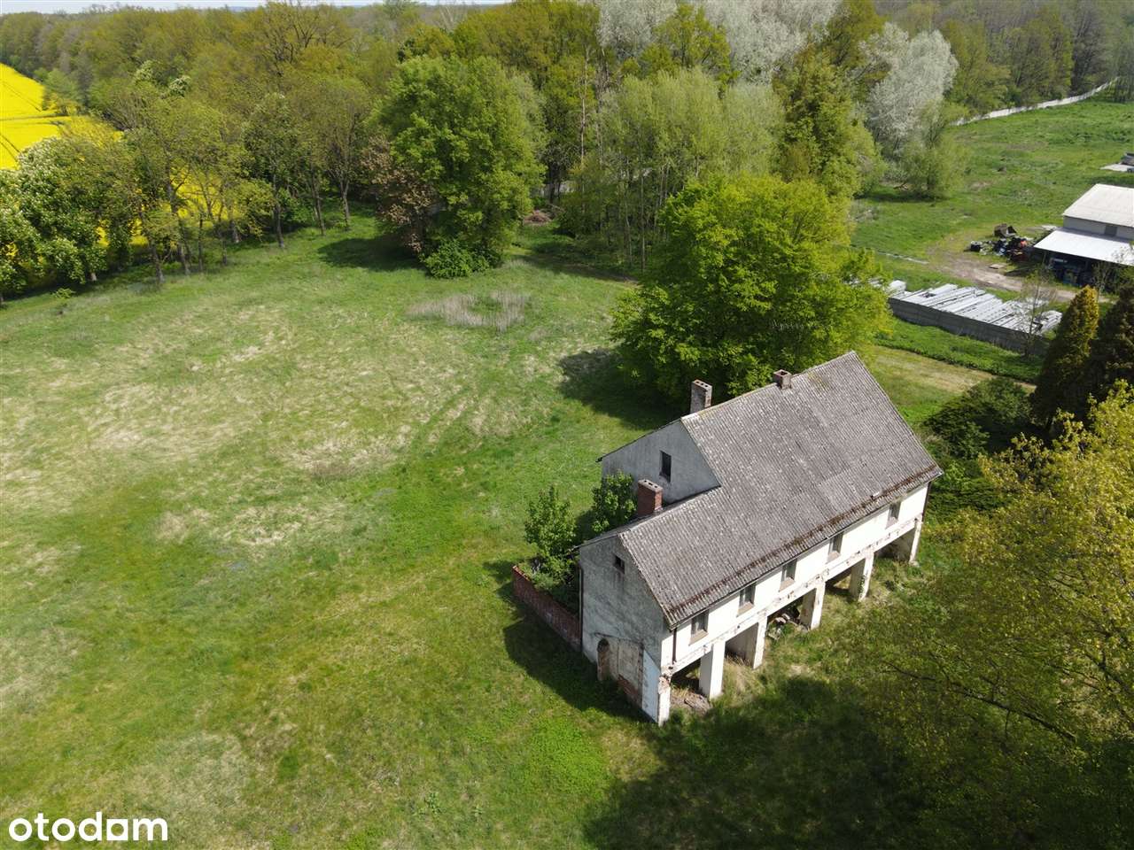 Pałac wraz z parkiem - Pełny obrazek: 4/4