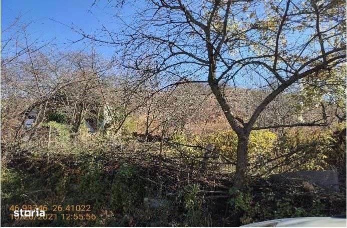 Teren Intravilan Piatra Neamt, ID R1375569 - Imagine principală: 5/9