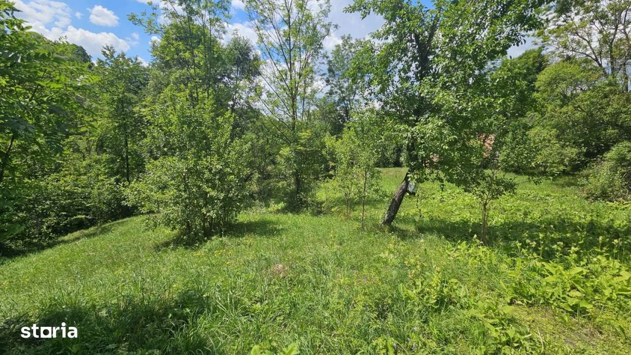 Teren de vanzare in Valea Doftanei - Imagine principală: 2/12