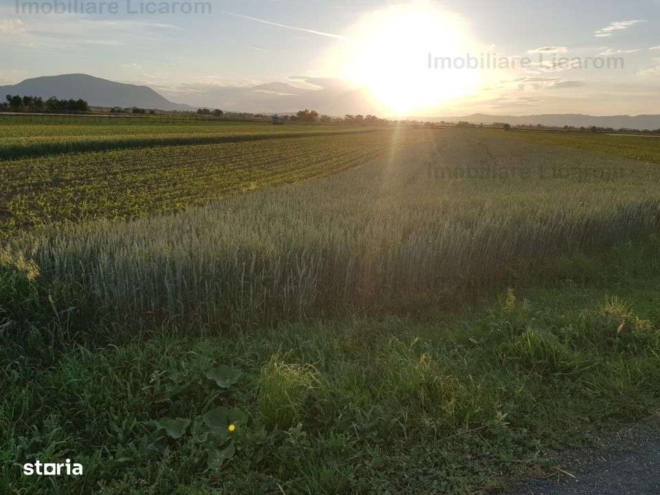 Teren Stupini Calea Feldioarei 4600 mp,21 euro/mp, front la asfalt-1