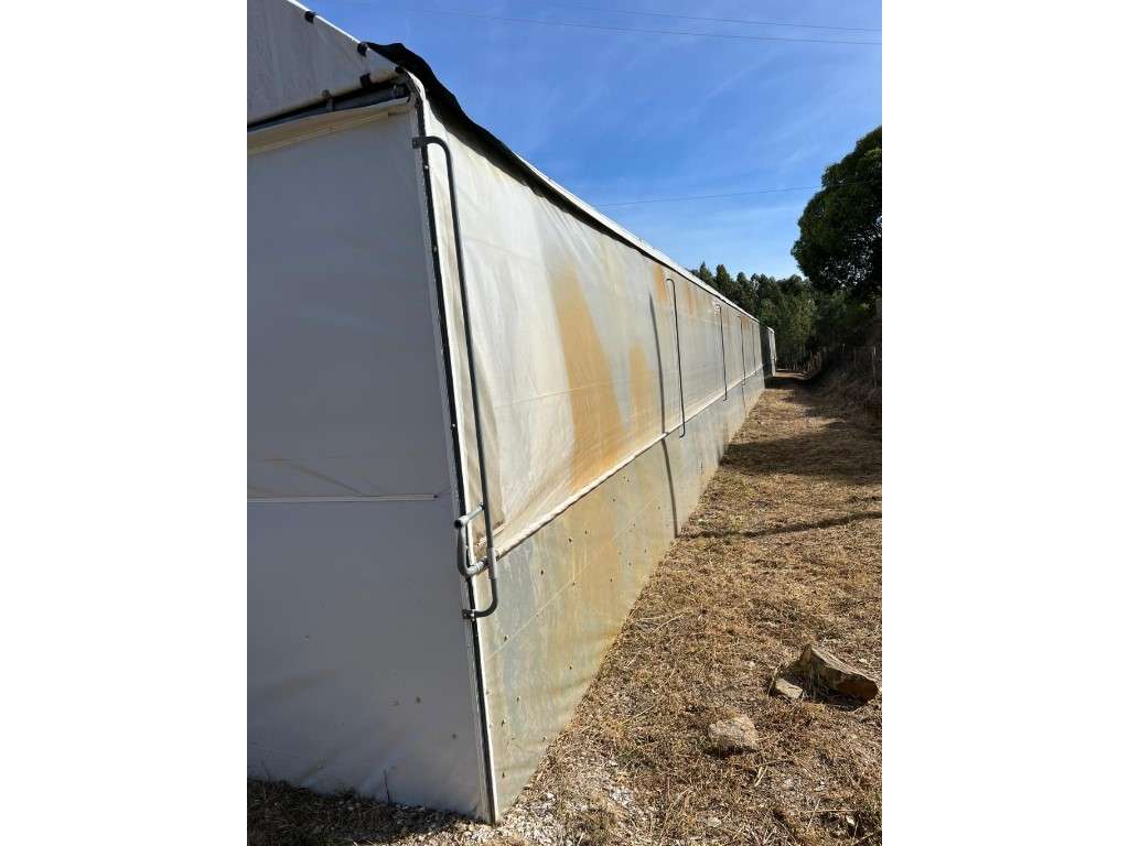 ESTUFA AGRÍCOLA - PRODUÇÃO DE COGUMELOS (SHIITAKE) - Grande imagem: 5/11