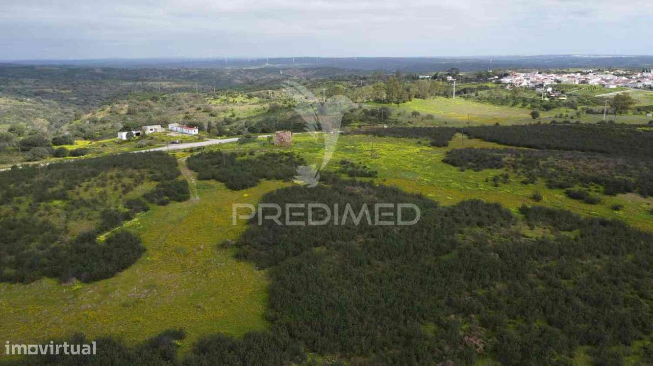 Terreno rústico com 7,3ha, com um moinho, no Azinhal - Grande imagem: 4/33